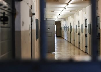 Potestà punitiva, mondi e sottomondi. Carcere, libertà e riabilitazione