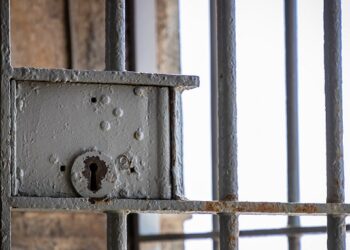 Il carcere duro in Italia fra illegittimità costituzionale e necessità investigative (2ª parte)