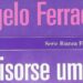 Angelo Ferracuti. Il lavoro, tra reportage e narrativa