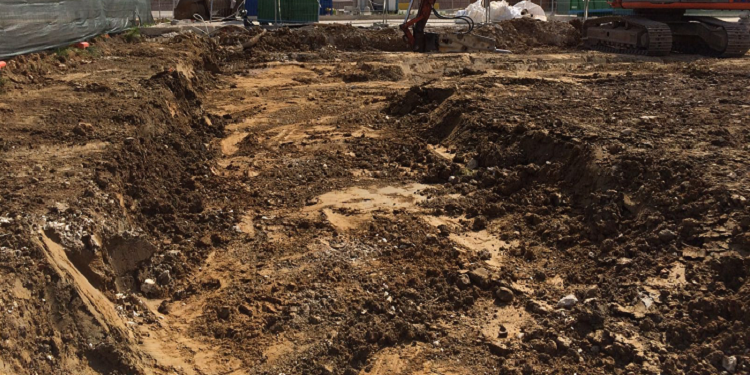 Expo 2015, bonifica del sito: inquinamento e sperpero di denaro pubblico