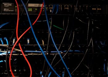 Lottare nella gig economy