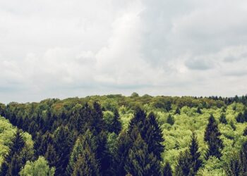 L’ecologismo di destra. Dalla Rivoluzione Conservatrice alla nouvelle droite passando per il nazismo