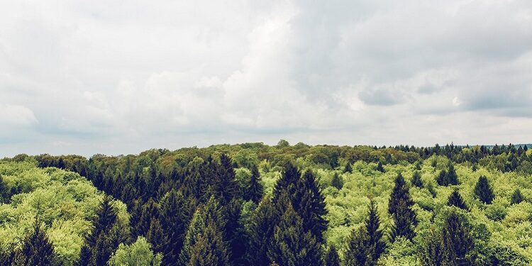 L’ecologismo di destra. Dalla Rivoluzione Conservatrice alla nouvelle droite passando per il nazismo