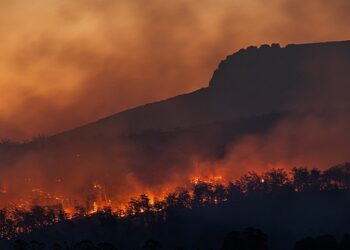 Incendi e cambiamento climatico