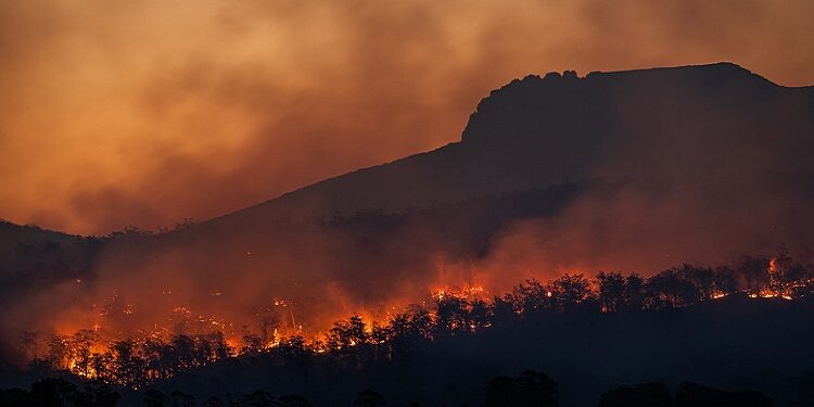 Incendi e cambiamento climatico