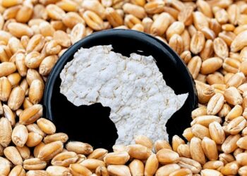 La crisi alimentare rafforza la presa su 19 hunger hotspots mentre la carestia incombe nel Corno d’Africa