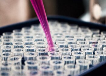 La lente del Papilloma Virus: vaccini e interessi, paure e abusi