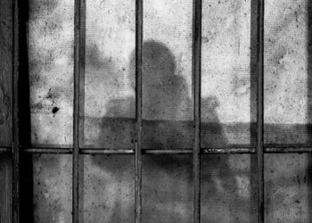 41bis. Lo Stato contro i suoi nemici