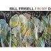 Bill Frisell. In my Dreams